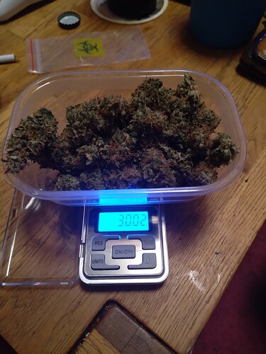 Growreport Bild 11