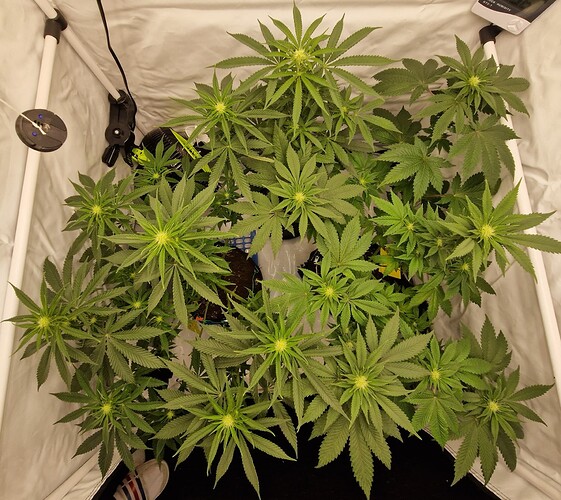 Growreport Bild 17