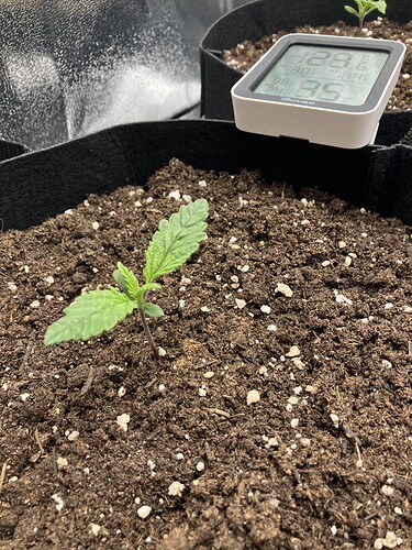 Growreport Bild 15