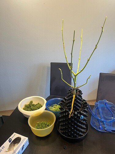 Growreport Bild 7