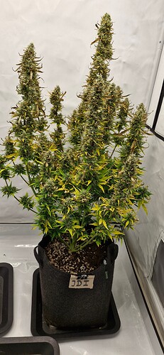 Growreport Bild 23