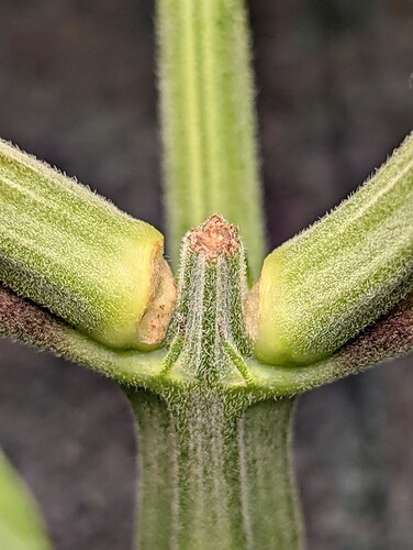 Growreport Bild 22