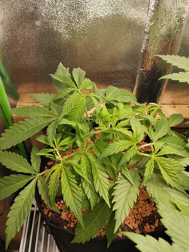 Growreport Bild 18