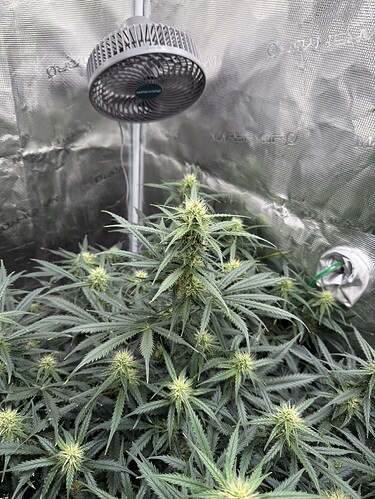 Growreport Bild 9