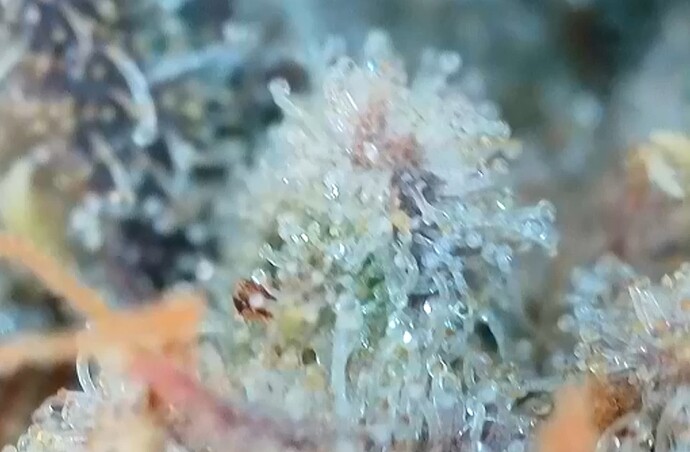 Growreport Bild 11