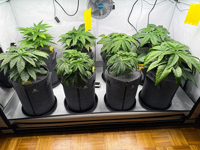 Growreport Bild 10