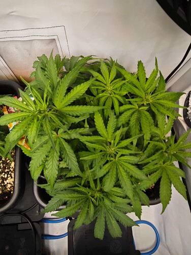 MVIMG_20251015_213409