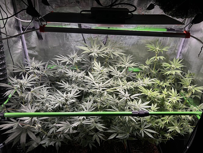 Growreport Bild 22