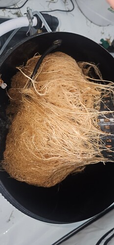 Growreport Bild 10