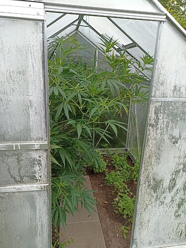 WhatsApp Bild 2024-07-18 um 08.09.07_c8d77920