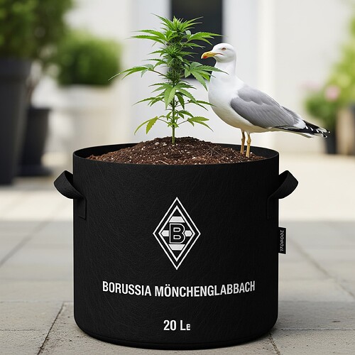 Growreport Bild 12