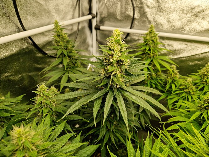 Growreport Bild 11