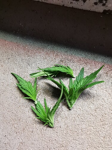 Growreport Bild 10
