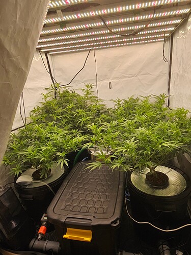 Growreport Bild 2