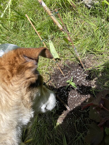 Growreport Bild 18