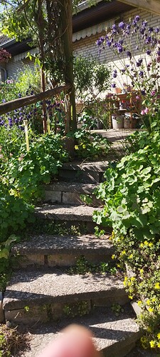 Growreport Bild 5