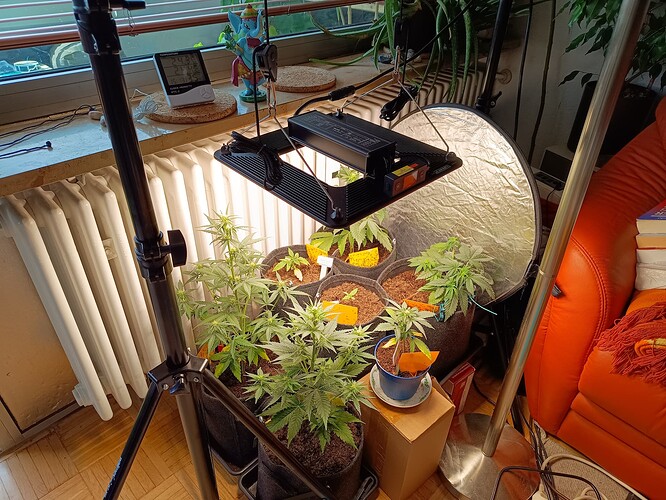 IMG_20240524_151338898