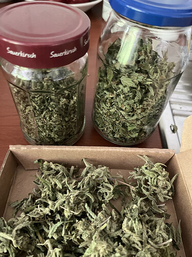 04B7E687-DEB5-4B62-818B-C5AF47119D77