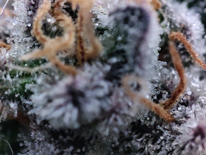 Growreport Bild 14