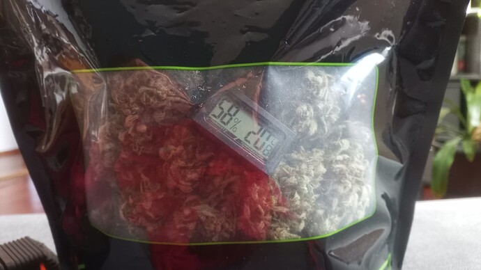 Growreport Bild 3