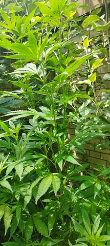 Growreport Bild 12
