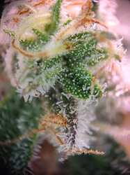 WhatsApp Bild 2024-06-12 um 17.10.13_cbee888d