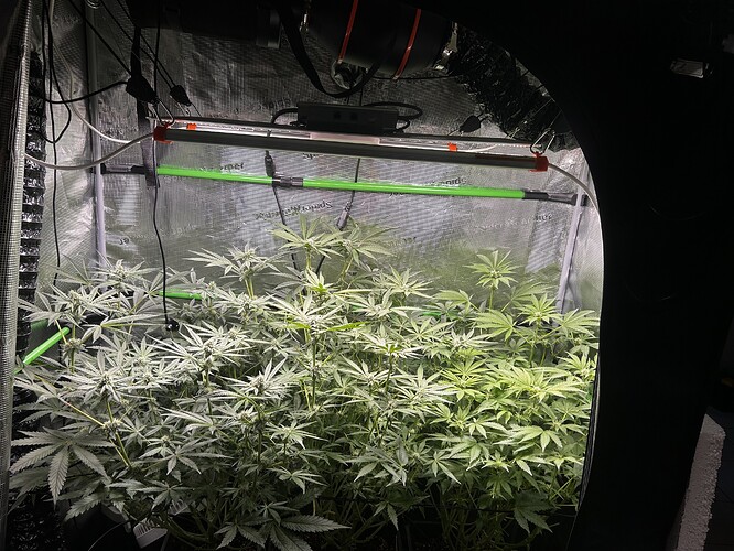 Growreport Bild 12