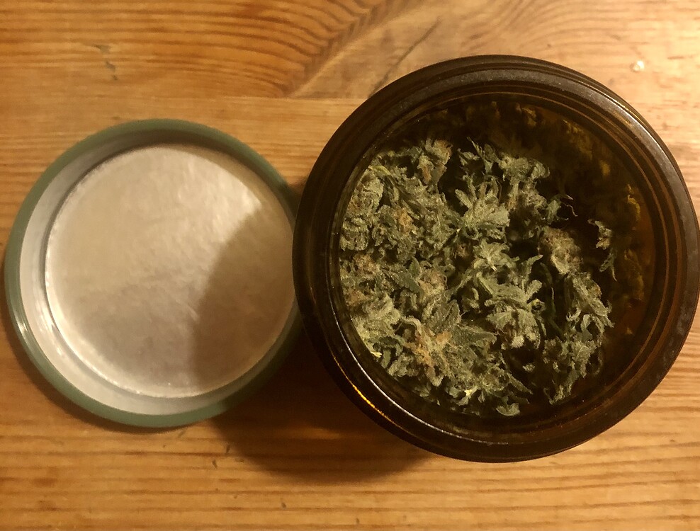 Nachhaltig anbauen ohne Dünger: 3x Orange-Bud in Sonnenerde