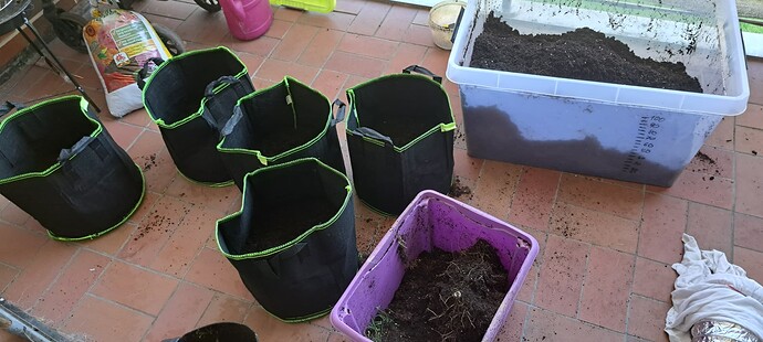 Growreport Bild 52