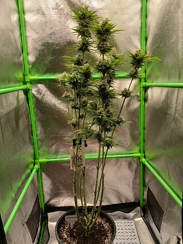 Growreport Bild 2