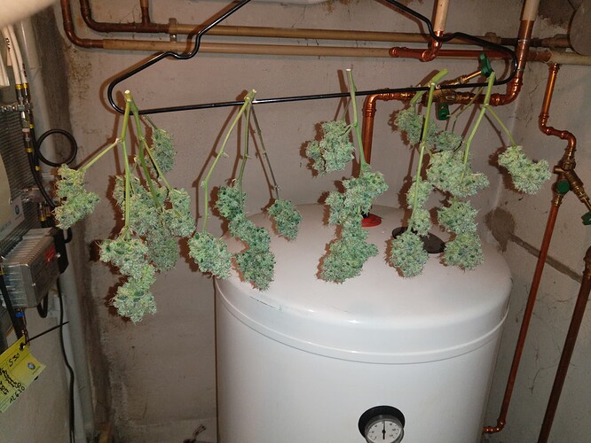 Growreport Bild 8