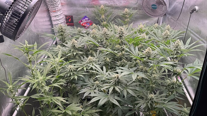 Growreport Bild 18