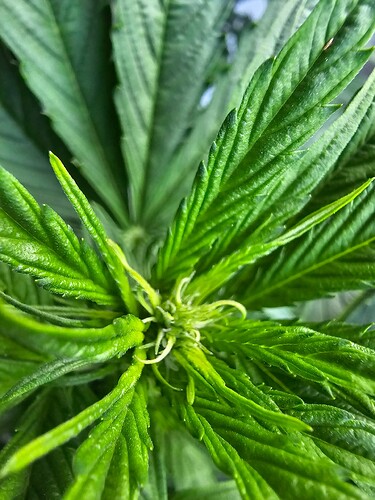 Growreport Bild 23