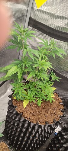 IMG_20251003_221914861