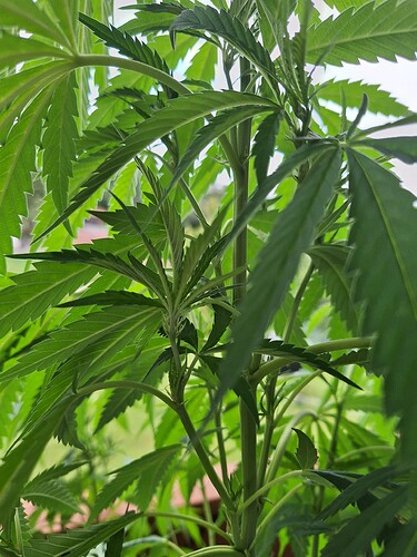 Growreport Bild 12