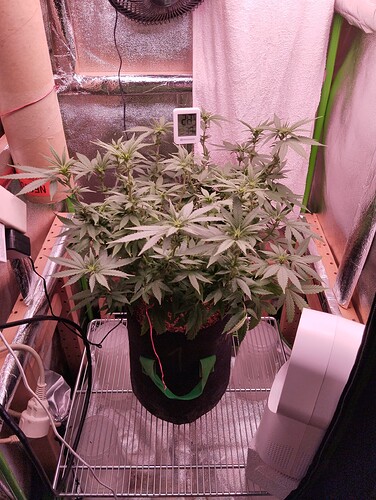 Growreport Bild 11