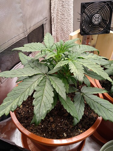 IMG_20240502_192702484