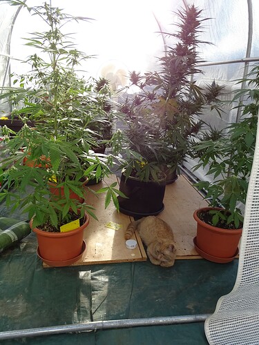 Growreport Bild 2
