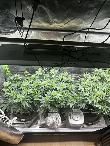 Growreport Bild 11