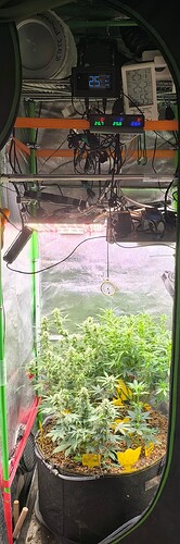 Gallery_1736112790879