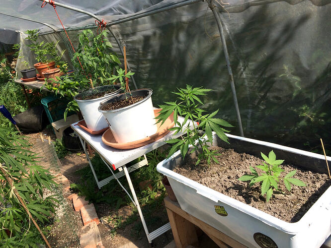 Grow26_0730_09