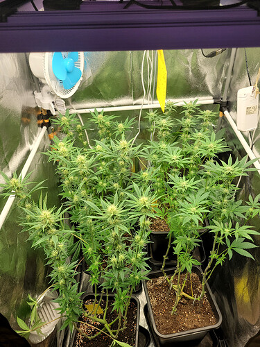 Growreport Bild 1