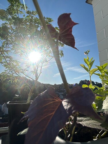 Growreport Bild 22