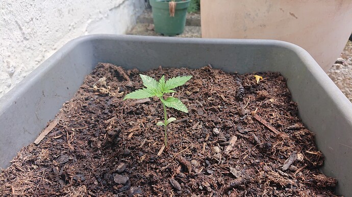 Growreport Bild 89