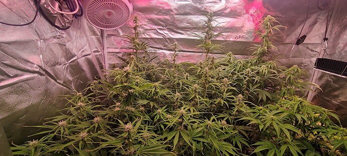 Growreport Bild 5