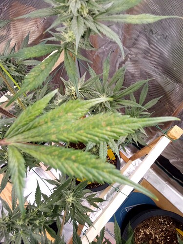 Growreport Bild 18
