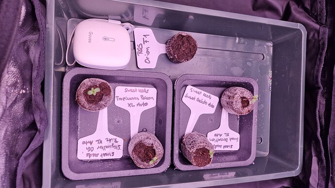 01.04. Tag 1 - Jiffy