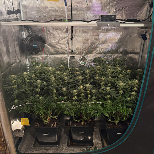 Foto 20.01.26, 18 00 58