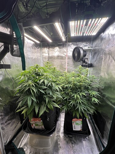 Growreport Bild 2