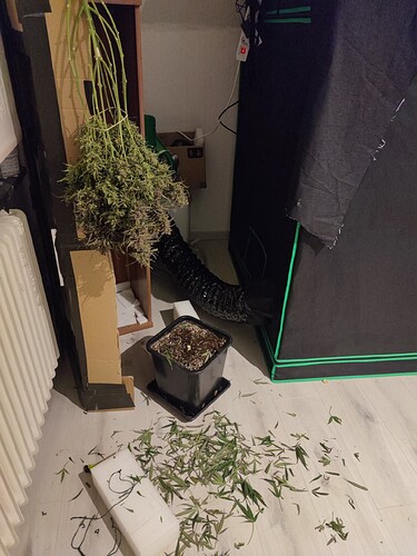 Growreport Bild 18